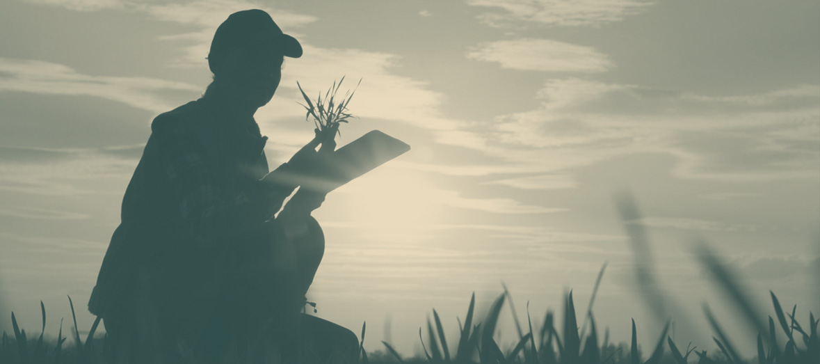 Foto de um agricultor