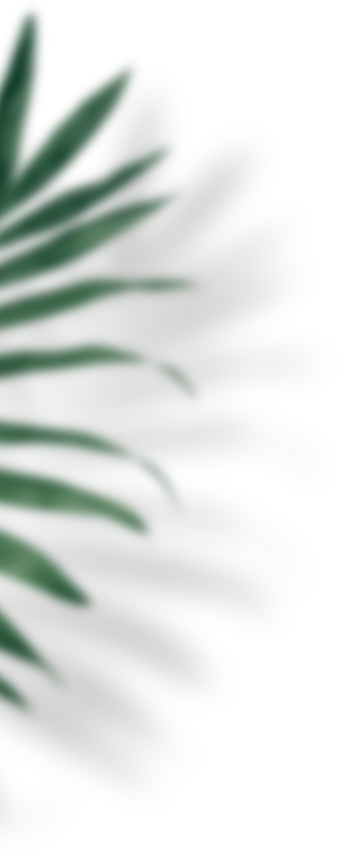 imagem de planta