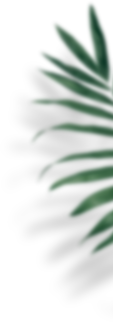 imagem de planta